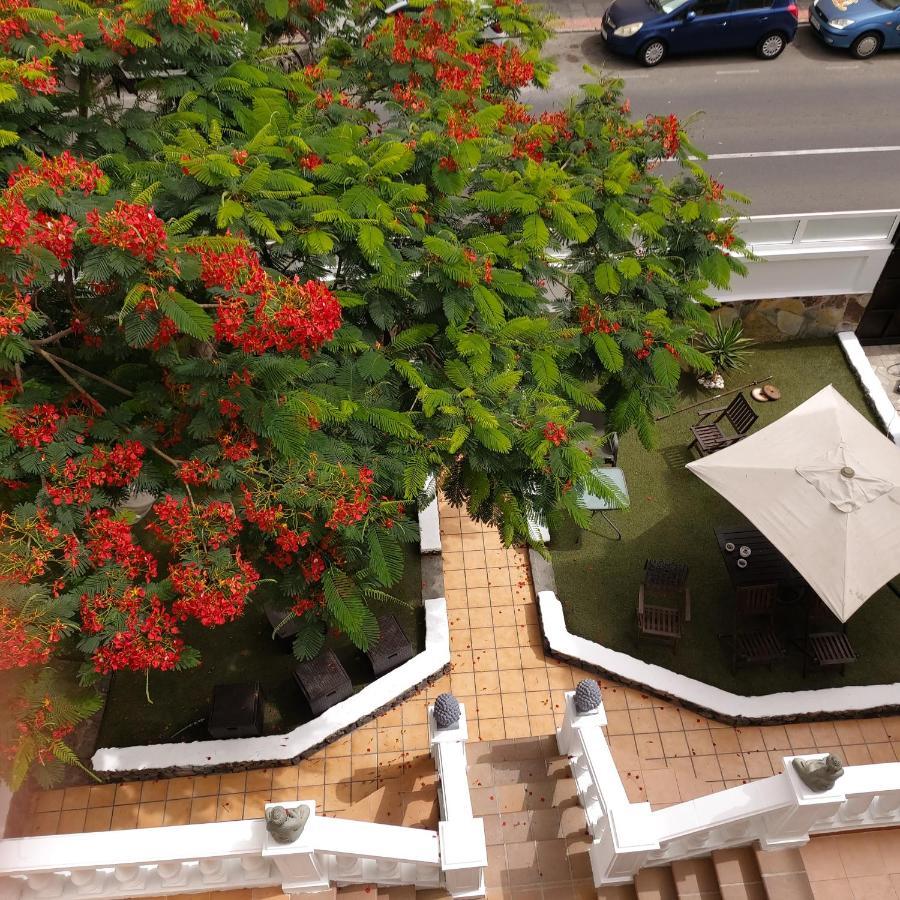 Corralejo Garden&Relax Hostel Bagian luar foto